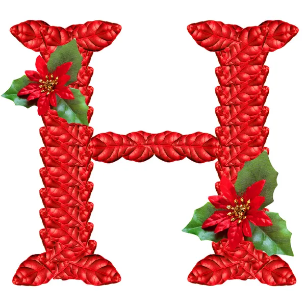 Lettre de fleurs de Noël rouges. Bel alphabet de Noël . — Photo