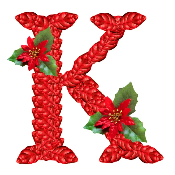 Lettre de fleurs de Noël rouges. Bel alphabet de Noël . — Photo