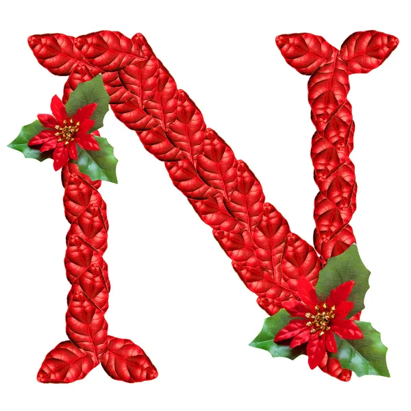 Letter from red christmas flowers . Nice Christmas Alphabet. — Stock Photo, Image