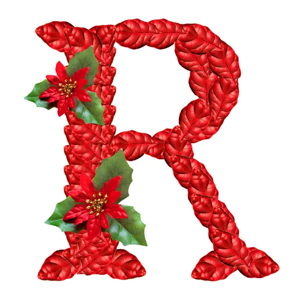 Letter from red christmas flowers . Nice Christmas Alphabet. — Stock Photo, Image