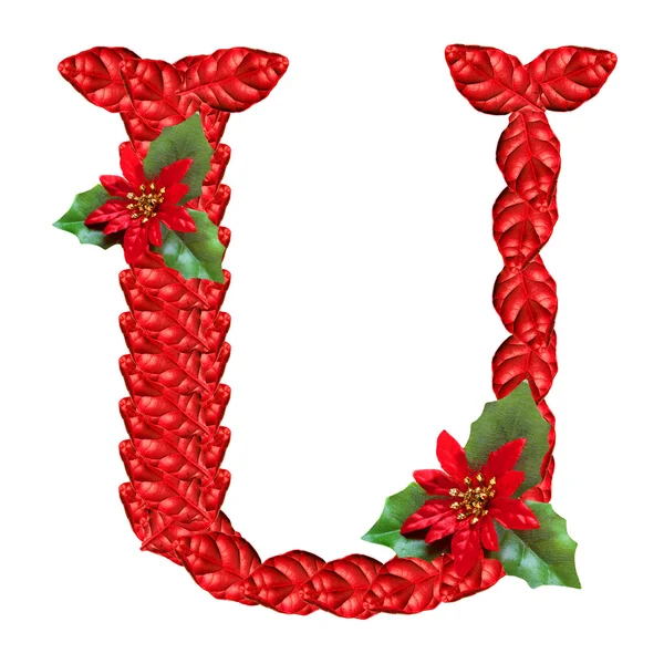 Lettre de fleurs de Noël rouges. Bel alphabet de Noël . — Photo