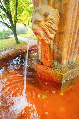 Marianske Lazne Spa