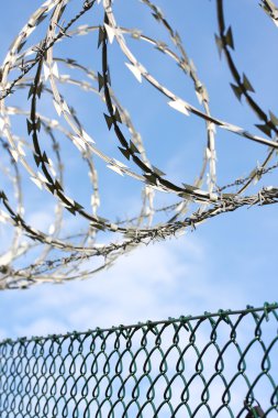 Dikenli telli bir çit