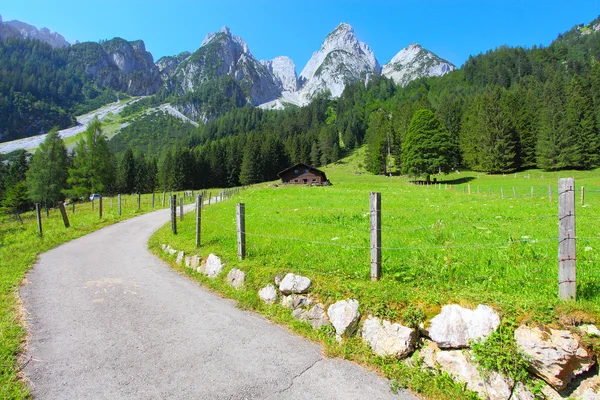 Strada in un paesaggio alpino . — Foto Stock