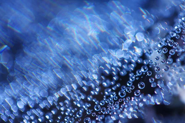 Burbujas en líquido - fondo de naturaleza abstracta . — Foto de Stock