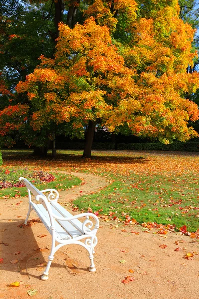 Lavička v podzimním městském parku — Stock fotografie