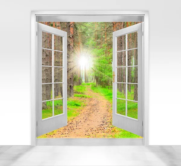 Geöffnete Tür zum schönen Wald - konzeptionelles Bild - Metapher für das Umweltgeschäft. — Stockfoto