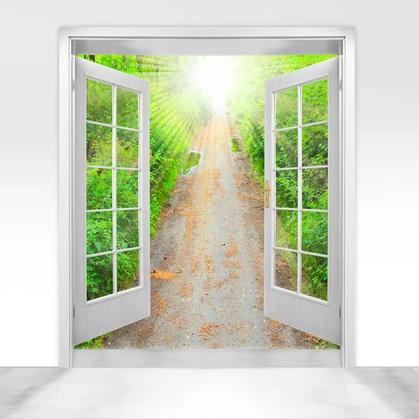 打开的门，到美丽的森林-概念性图片-环境业务隐喻. — 图库照片