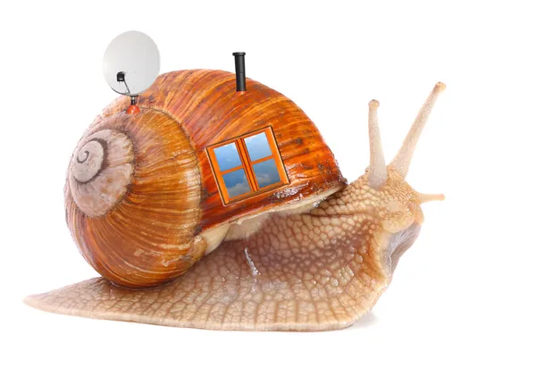 The snail with his mobil home on the road. Happy holidays concept. — Stock Photo, Image