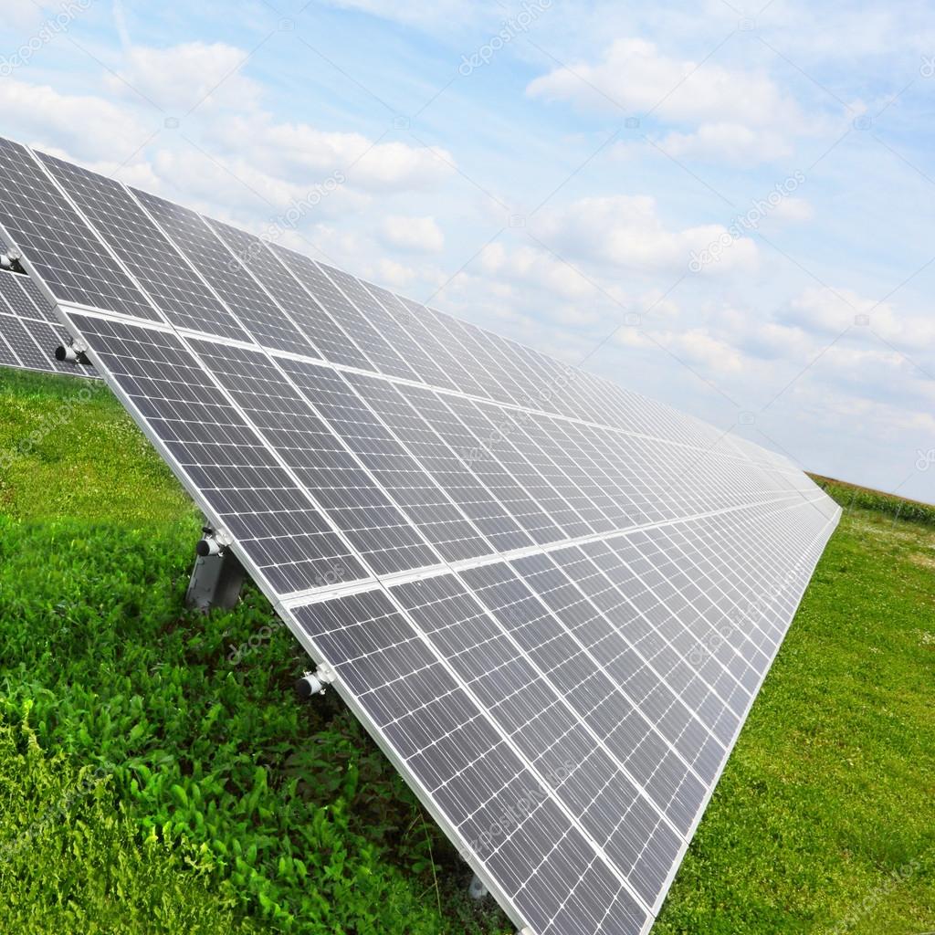 Solar energy panels on a green wheat field