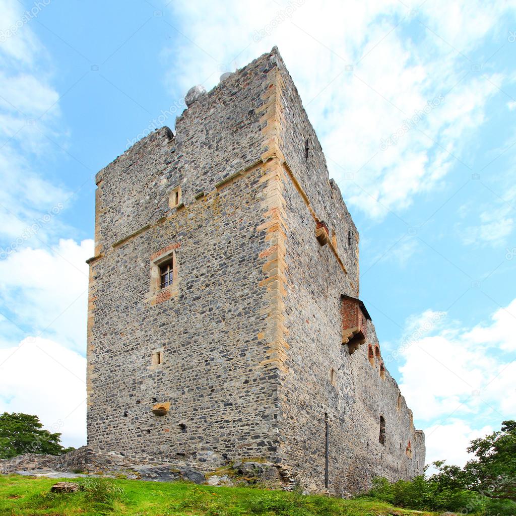 Radyne Castle
