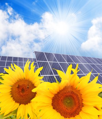 Solar power station ve ayçiçeği. saf enerji kavramı.