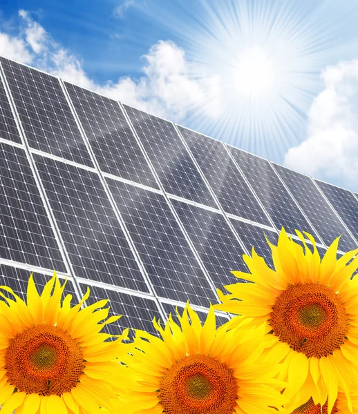 Solarkraftwerk und Sonnenblumen. reines Energiekonzept. — Stockfoto