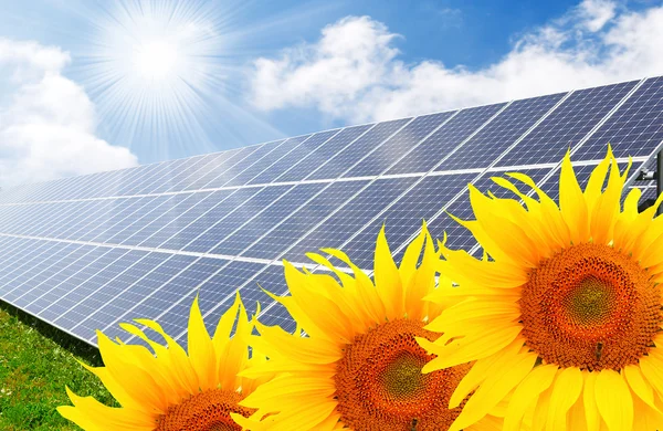 Panele energii słonecznej na polu słonecznika — Zdjęcie stockowe