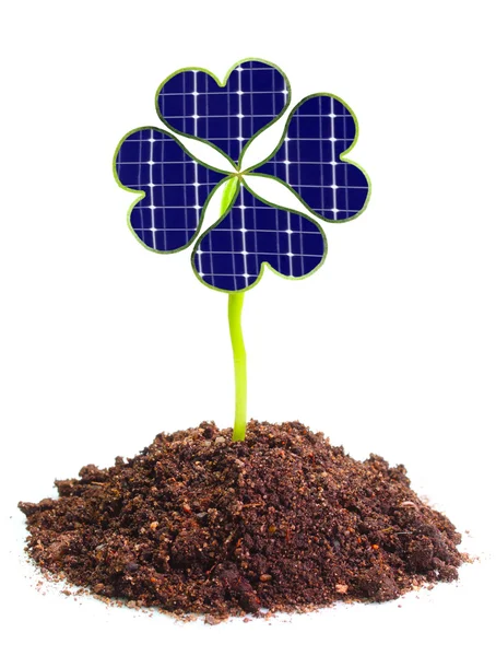 Solar energy panels from clover leaves — Stock Photo, Image