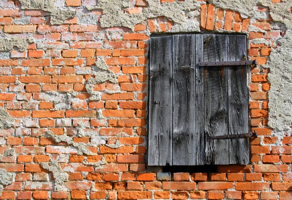 Деревянные двери в стене — стоковое фото