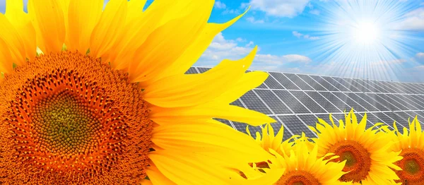 Solar energy panels on a sunflower field — Stock Photo, Image