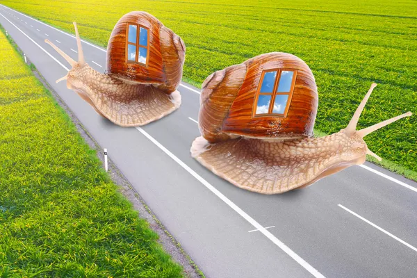 Funny picture of a snails with mobile home on the road. Easy travel metaphor. — Stock Photo, Image