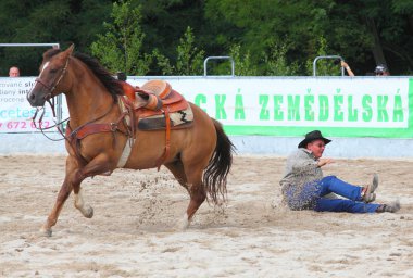 Tanımlanamayan kovboy