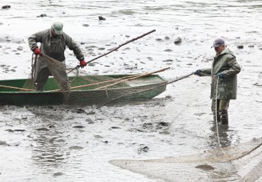 Tanımlanamayan balıkçılar gölet blatna hasat tadını çıkarın.