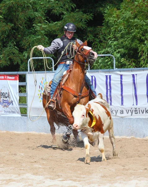 Oidentifierade cowboy — Stockfoto