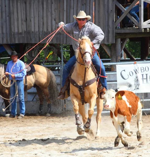 Azonosítatlan cowboy — Stock Fotó