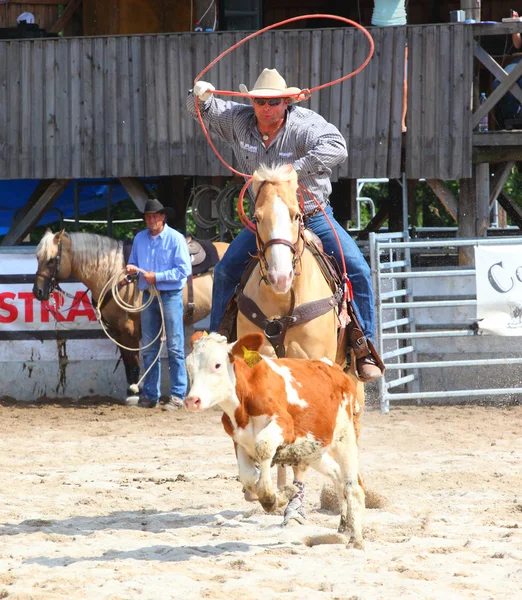 Unbekannter Cowboy — Stockfoto