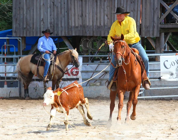 Azonosítatlan cowboy — Stock Fotó