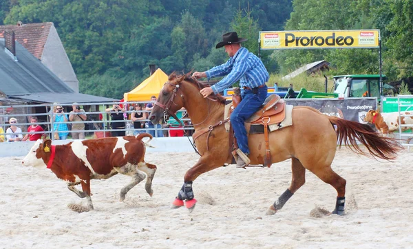 Unidentified Cowboy — Stock Photo, Image