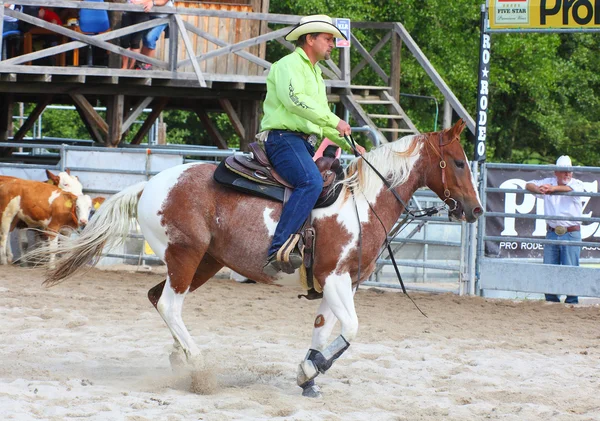 Niet-geïdentificeerde cowboy — Stockfoto