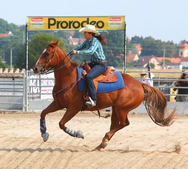 Niet-geïdentificeerde cowboy — Stockfoto