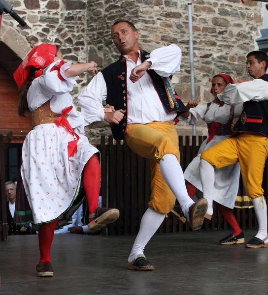 Das Folklore-Ensemble usmev — Stockfoto