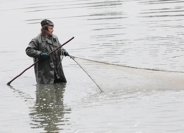 Pescador não identificado desfrutar de colheita de lagoa Blatna — Fotografia de Stock