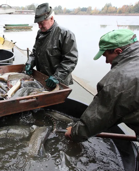 Oidentifierade fiskare njuta av skörden av damm blatna — Stockfoto
