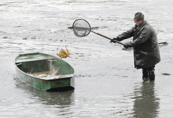 Unidentified fisherman enjoy harvest of pond Blatna — Stock Photo, Image