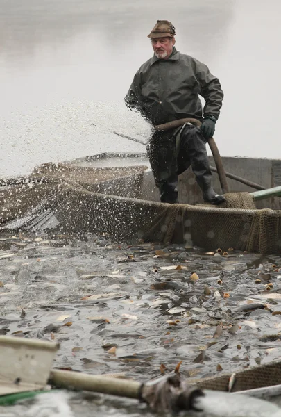 身份不明的渔夫享受收获的池塘 blatna — 图库照片