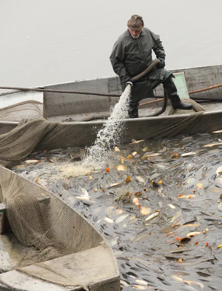 Pêcheurs non identifiés profiter de la récolte de l'étang Blatna — Photo