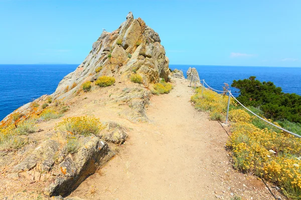 Cliffs on The Enfola Peninsula. — Stock Photo, Image