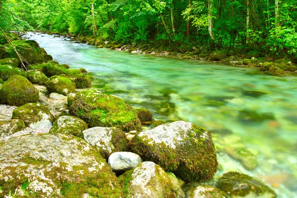 Mountain river Konigsseer Ache in Berchtesgaden national park, Bavaria, Germany. — Stock Photo, Image