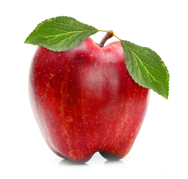 Manzana fresca madura — Foto de Stock