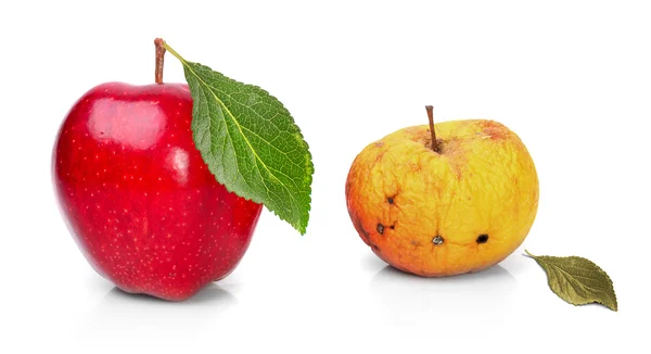 Manzana fresca madura y manzana vieja arrugada . — Foto de Stock