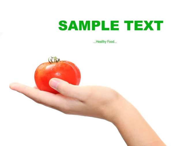 Fresh ripe tomato in female hand — Stock Photo, Image