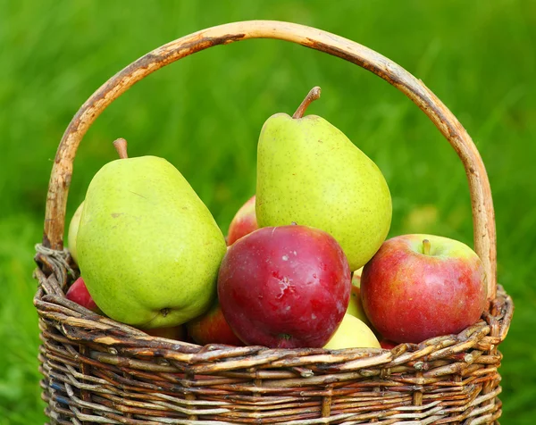 Red apples and green pears in the basket — Stock Photo, Image