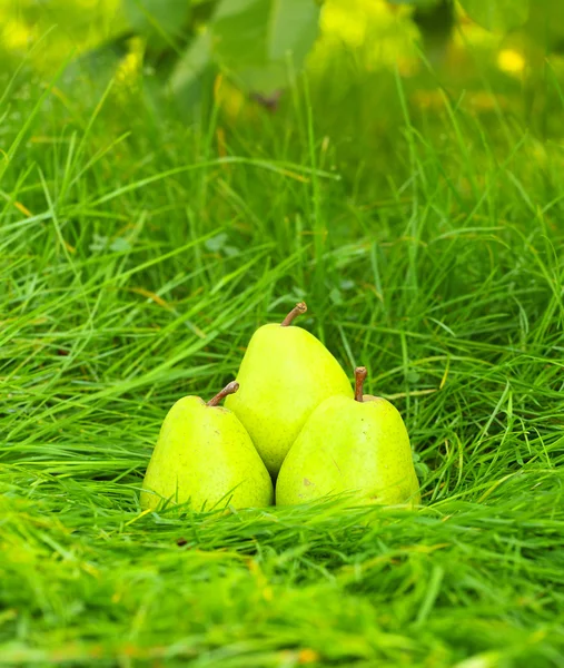 Grüne Birnen im Gras — Stockfoto