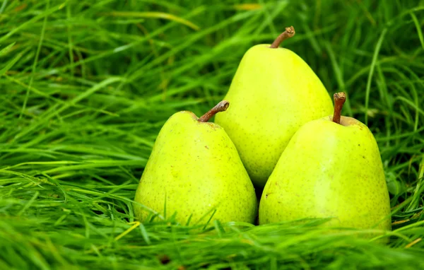 Green pears in the grass — Stock Photo, Image
