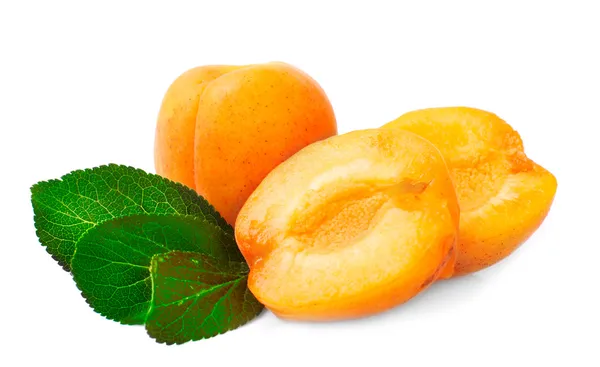 Čerstvé zralé meruňky. — Stock fotografie