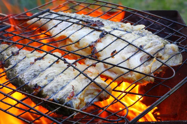 Fish on the grill — Stock Photo, Image