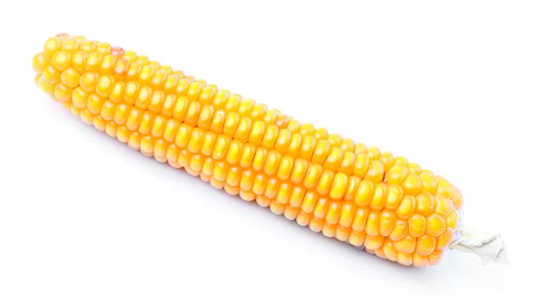 The corn — Stock Photo, Image