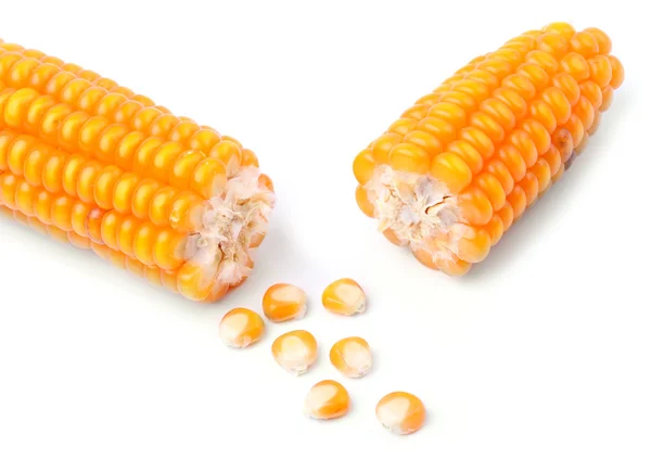 Broken corn — Stock Photo, Image