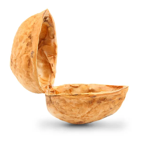 грецкий орех в скорлупе. фундук макросъемка. половина грецкого ореха. грецкий орех в скорлупе. пустой орех.